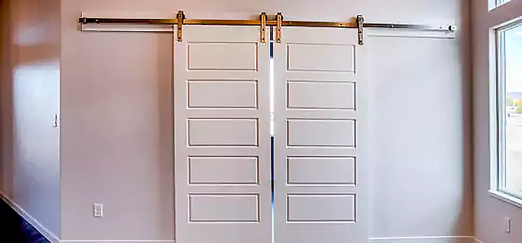 Glass Barn Door with Installation Hardware Kit Enid